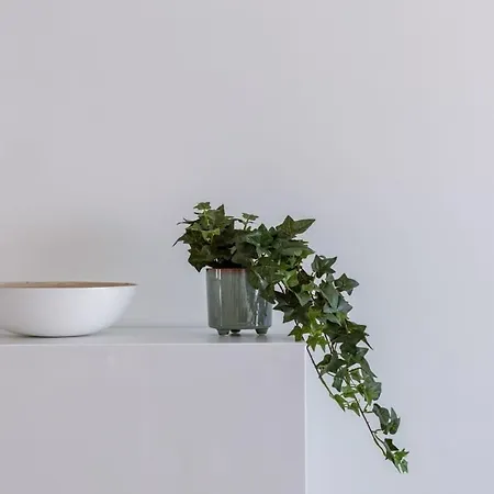 Huswell - Lovely With Lateral Sea View And Parking Lägenhet Oostende